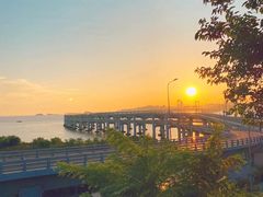 -星海湾跨海大桥