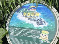 -海南铜鼓岭景区