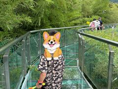 -陶祖圣境风景区