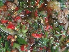 -金鼎雪山牦牛杂火锅(理县总店)