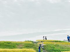 -乌村