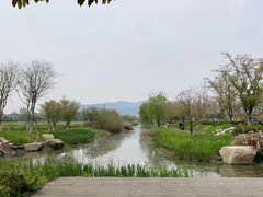 -长田漾湿地公园