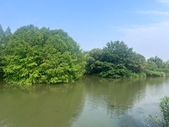-梁鸿国家湿地公园