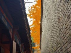 -少华山国家森林公园