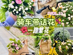 -双季花艺园艺市场(浦东店)