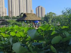 -前关湿地公园