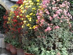 -周老三跷脚牛肉·全牛火锅(非遗传承店)