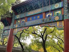 -北京国子监胡同