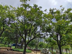 -海珠儿童公园