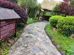 -森波拉火山温泉