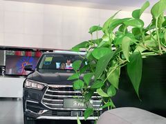 -比亚迪汽车王朝网(北京环耀4S店)