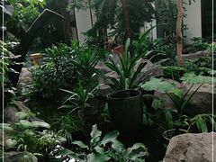 -滕头生态酒店(奉化店)