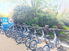 -上海海湾国家森林公园