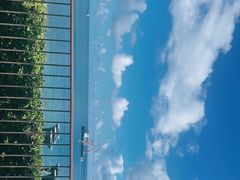 -日落吧·海景咖啡厅·餐酒吧·鸡尾酒·下午茶·乐队表演·浪漫夕阳·三亚文华东方酒店