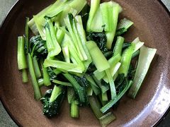 -松赞拉萨林卡酒店