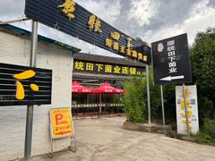 -蘑统田下·野生菌火锅