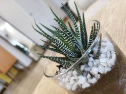 -美龄范科技肌肤管理中心