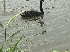 -江南大学(蠡湖校区)