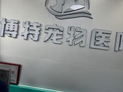 -博特宠物医院24h犬猫全科.骨科·异宠