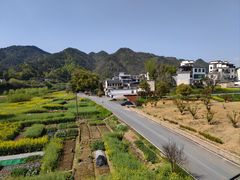 -新安江山水画廊风景区