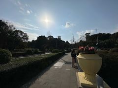 -神仙树公园