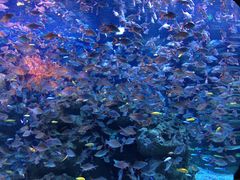 -成都浩海立方海洋公园