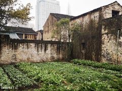 -绍兴鲁迅故里·沈园景区
