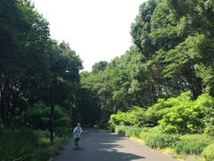 -东湖落雁景区