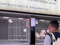 -翊宠yipet猫狗购宠庄园犬舍•猫舍