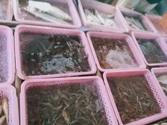 -大湾区中央湿地公园-十九涌