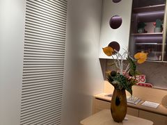 -索菲亚衣柜橱柜全屋定制(真北红星店)
