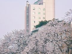 -红星桥(地铁站)