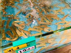 -海蓝海鲜馆(五四北店)