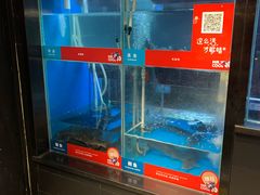 水产区-鱼酷活鱼烤鱼(人信汇商场店)