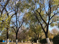 -永定河休闲森林公园