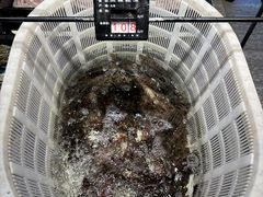 -海鲜e族(马王堆店)