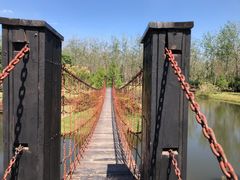 -合肥滨湖国家森林公园