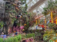 -正佳雨林生态植物园