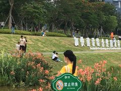 -光明小镇欢乐田园