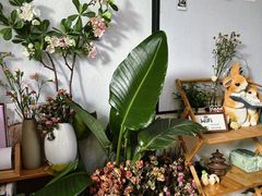 -大鱼·养生·禅洗头疗·按摩SPA