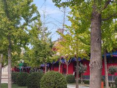 -天津市峰山药王古寺