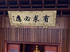 -深圳仙湖植物园
