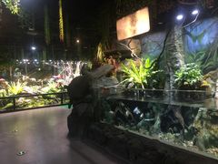 -萌宠奇缘