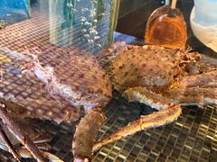 -官也街澳门火锅(新源里店)