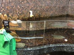 -海鲜e族(马王堆店)