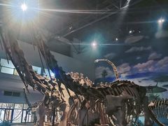 -自贡恐龙博物馆