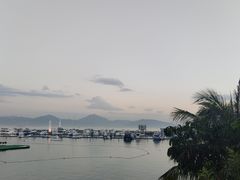 -希尔顿南海酒店·观廊大堂吧·海景下午茶