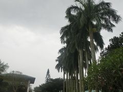 -侯臣咖啡文化村