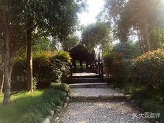 -三江森林温泉度假区