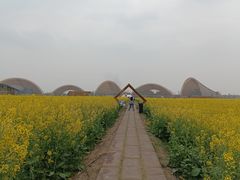 -中国天府农业博览园